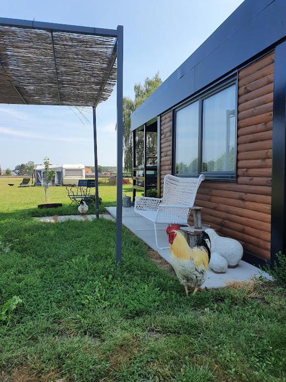 Houten Huisje Tussen Paarden Nieuwerkerken ภายนอก รูปภาพ