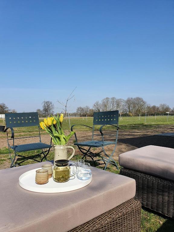 Houten Huisje Tussen Paarden Nieuwerkerken ภายนอก รูปภาพ