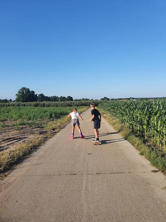 Houten Huisje Tussen Paarden Nieuwerkerken ภายนอก รูปภาพ