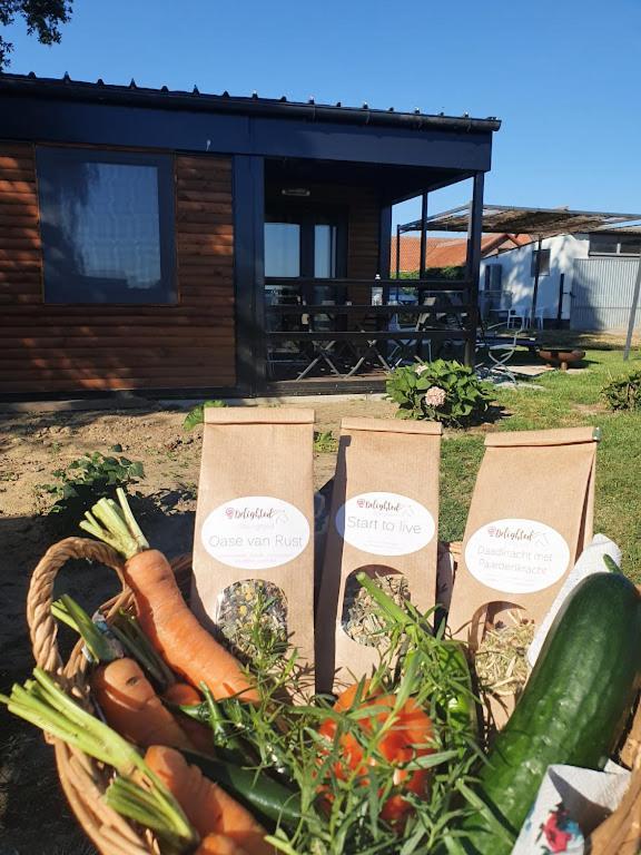 Houten Huisje Tussen Paarden Nieuwerkerken ภายนอก รูปภาพ