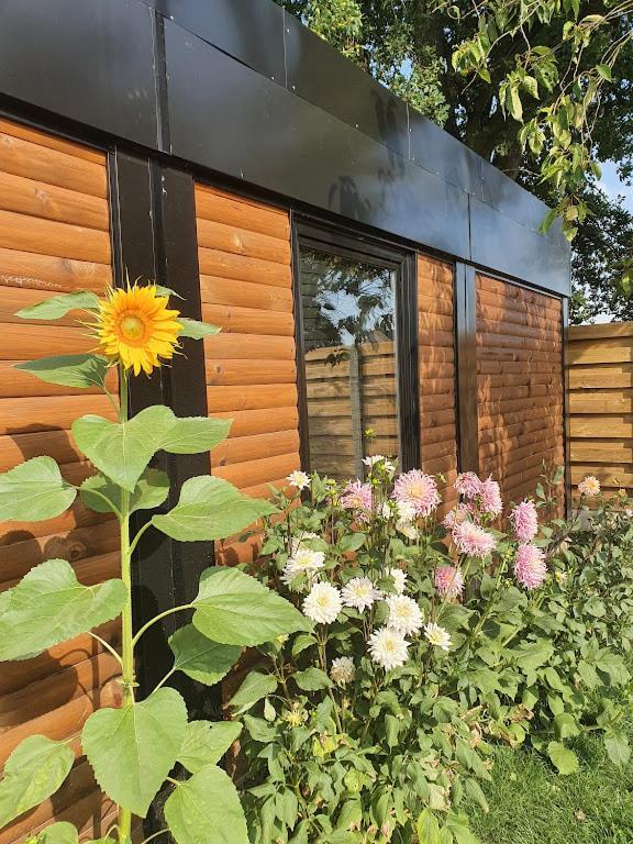 Houten Huisje Tussen Paarden Nieuwerkerken ภายนอก รูปภาพ