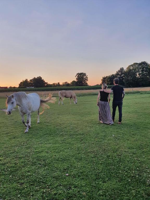 Houten Huisje Tussen Paarden Nieuwerkerken ภายนอก รูปภาพ