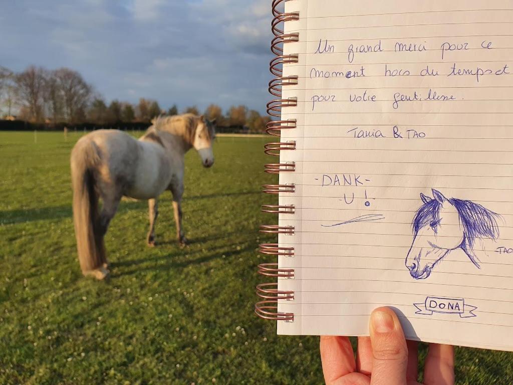 Houten Huisje Tussen Paarden Nieuwerkerken ภายนอก รูปภาพ